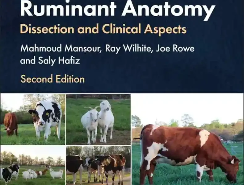 Guide to Ruminant Anatomy: Dissection and Clinical Aspects, 2nd Edition