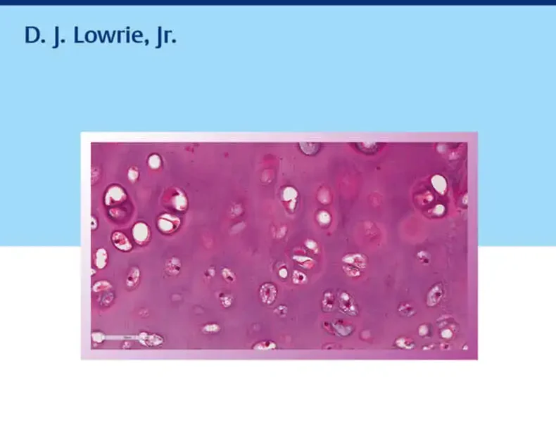 Histology: An Essential Textbook