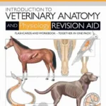 Introduction to Veterinary Anatomy and Physiology Flashcards