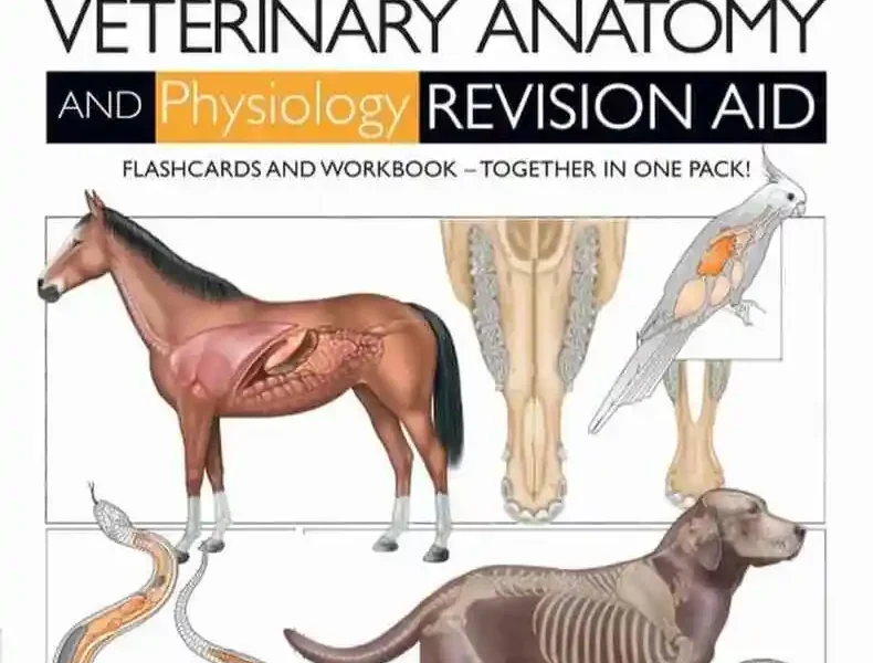 Introduction to Veterinary Anatomy and Physiology Flashcards