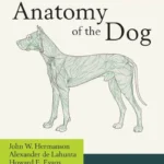 Miller and Evans’ Anatomy of the Dog 5th Edition