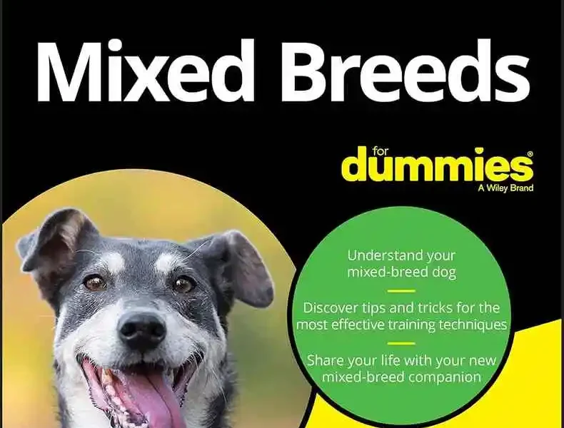 Mixed Breeds For Dummies, 2nd Edition