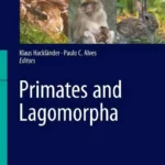 Primates and Lagomorpha