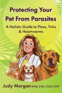 Protecting Your Pets from Parasites: A Holistic Guide to Fleas, Ticks & Heartworms
