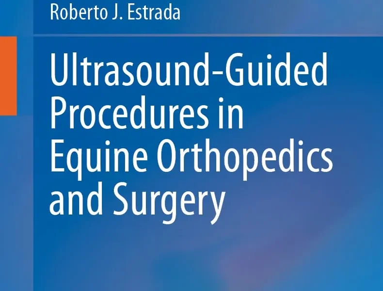 Ultrasound-Guided Procedures in Equine Orthopedics and Surgery