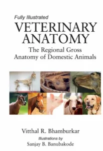 Veterinary Anatomy: The Regional Gross Anatomy of Domestic Animals
