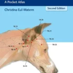 Acupuncture for Dogs and Cats: A Pocket Atlas, 2nd Edition