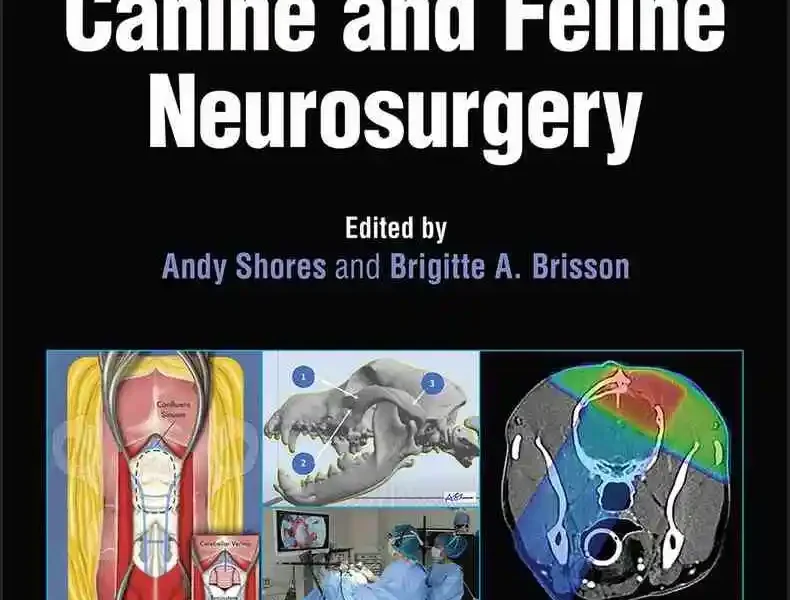 Advanced Techniques in Canine and Feline Neurosurgery