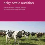 Advances in Sustainable Dairy Cattle Nutrition
