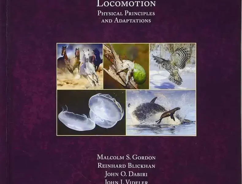 Animal Locomotion: Physical Principles and Adaptations
