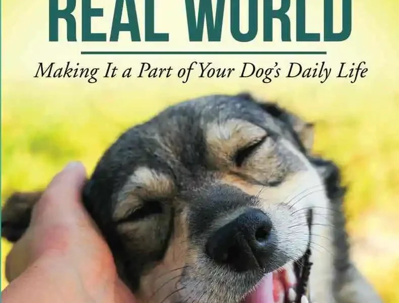 Canine Enrichment for the Real World: Making It a Part of Your Dog’s Daily Life