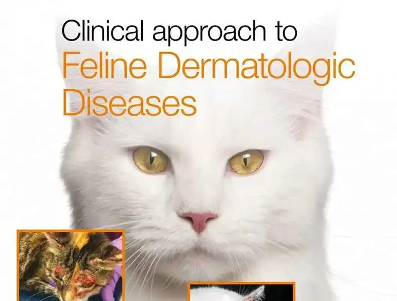 Clinical Approach to Feline Dermatologic Diseases