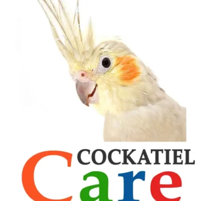 Cockatiels: The Essential Guide to Ownership, Care, and Training For Your Pet