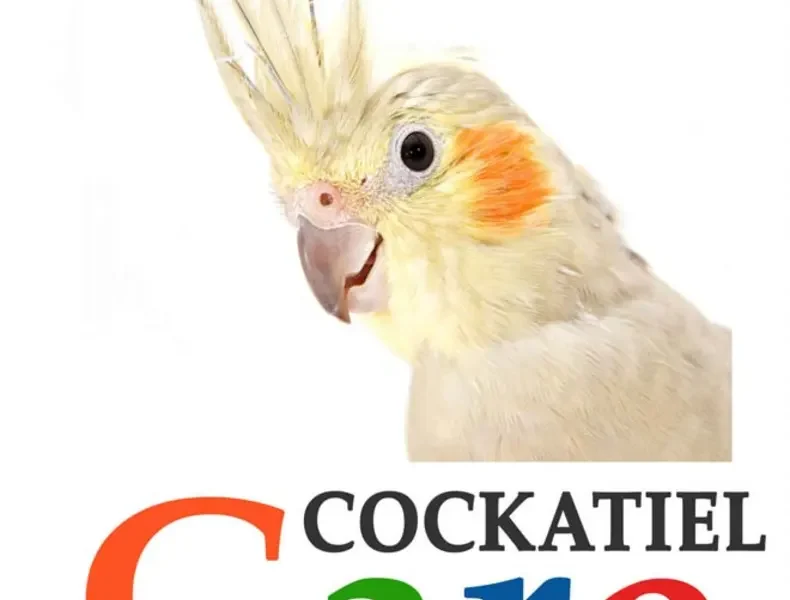 Cockatiels: The Essential Guide to Ownership, Care, and Training For Your Pet