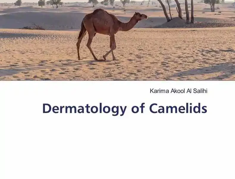 Dermatology of Camelids