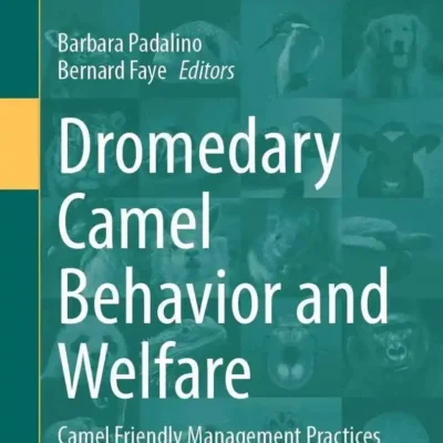 Dromedary Camel Behavior and Welfare: Camel Friendly Management Practices
