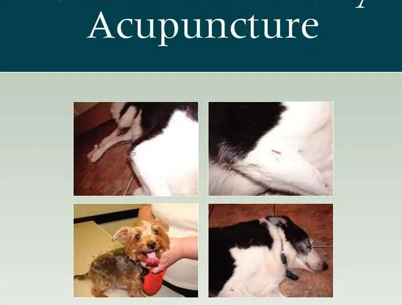 Essentials of Western Veterinary Acupuncture