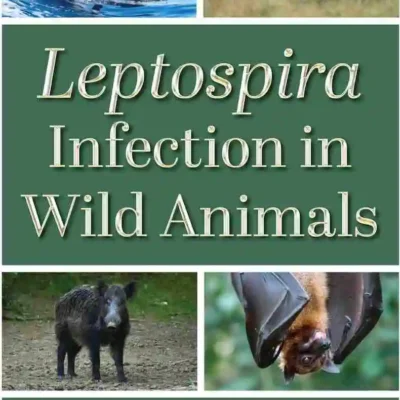 Leptospira Infection in Wild Animals