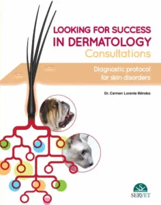 Looking for Success in Dermatology Consultations: Diagnostic Protocol for Skin Disorders
