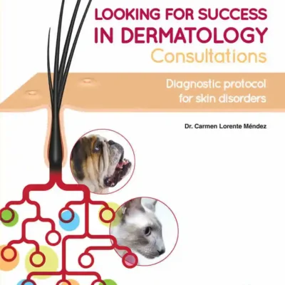 Looking for Success in Dermatology Consultations: Diagnostic Protocol for Skin Disorders