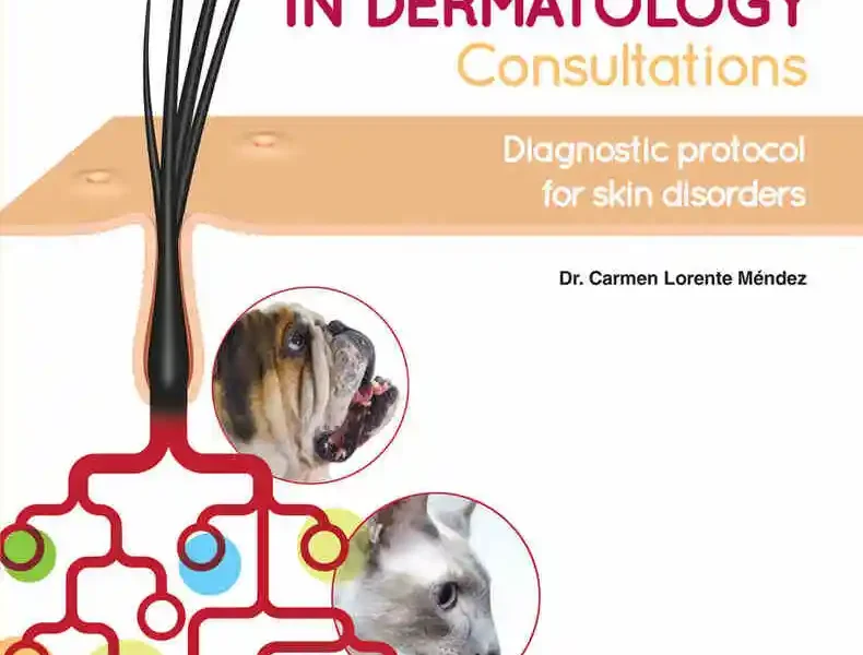 Looking for Success in Dermatology Consultations: Diagnostic Protocol for Skin Disorders