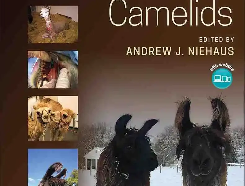 Medicine and Surgery of Camelids, 4th Edition