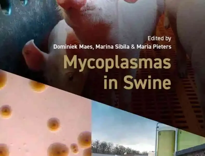 Mycoplasmas in Swine