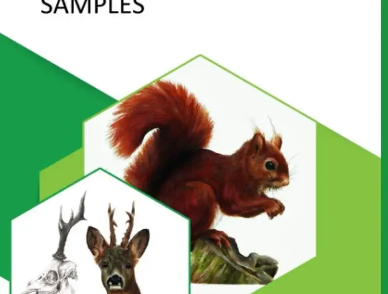 Necropsy Techniques for Examining Wildlife Samples