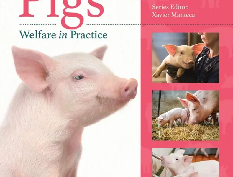 Pigs Welfare in Practice