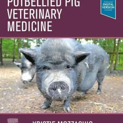 Potbellied Pig Veterinary Medicine