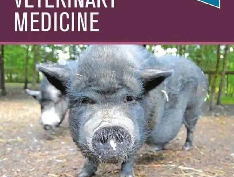 Potbellied Pig Veterinary Medicine
