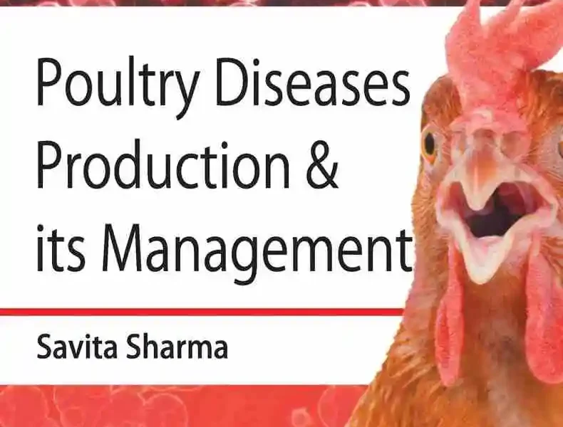 Poultry Diseases Production and Its Management