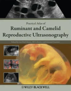 Practical Atlas of Ruminant and Camelid Reproductive Ultrasonography is a practical, fully referenced, image-based guide to the essential concepts of reproductive ultrasound in domesticated ruminants and camelids. Providing information to enable practitioners to incorporate ultrasound service into their practices, the book also includes more specialized information for advanced techniques such as fetal sexing, embryo transfer, color Doppler, and others. Practical Atlas of Ruminant and Camelid Reproductive Ultrasonography is a must-have reference for ruminant and camelid practitioners, instructors, and students.