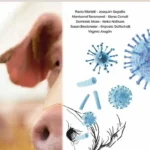 Swine Respiratory Disease