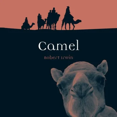 Camel (Animal Series)