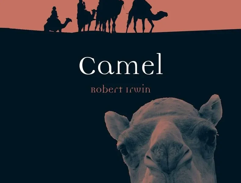 Camel (Animal Series)