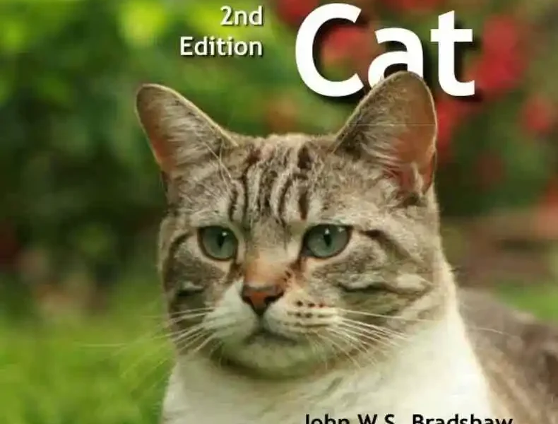 Behaviour of the Domestic Cat, 2nd Edition