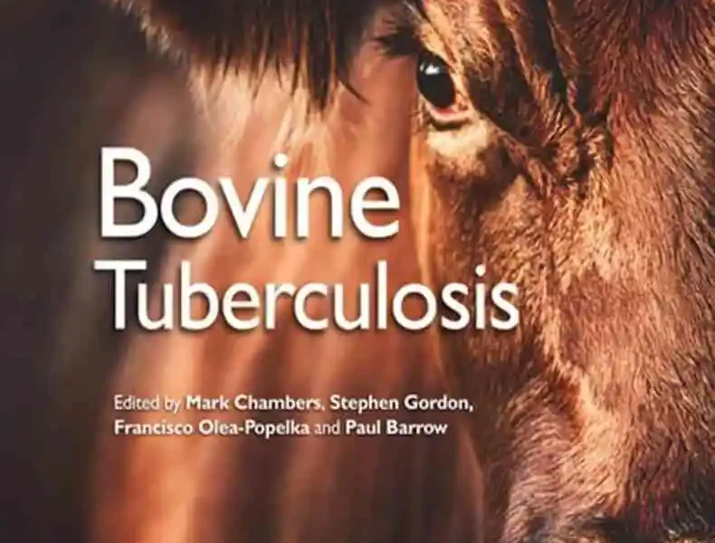 Bovine Tuberculosis