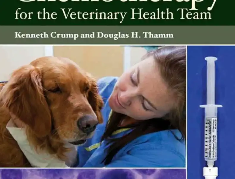 Cancer Chemotherapy for the Veterinary Health Team