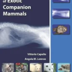 Clinical Radiology of Exotic Companion Mammals