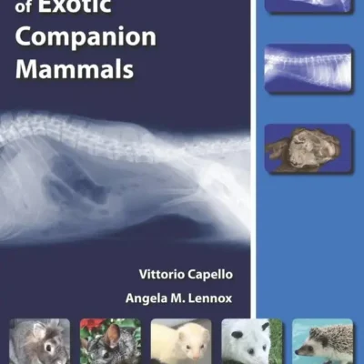 Clinical Radiology of Exotic Companion Mammals
