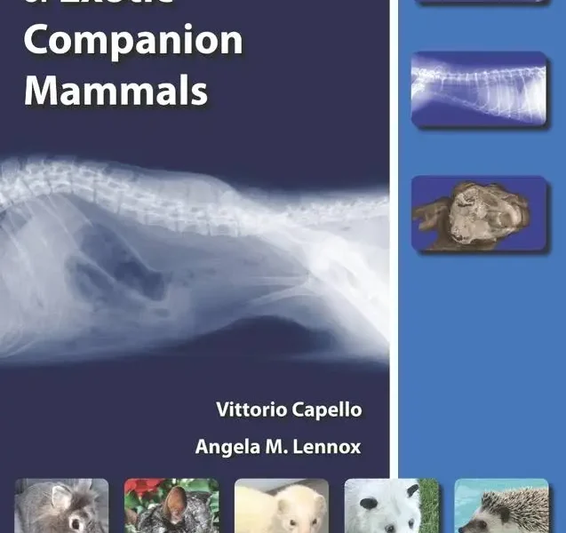 Clinical Radiology of Exotic Companion Mammals