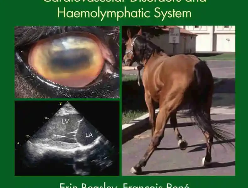 Concise Textbook of Equine Clinical Practice Book 5: Nervous System, Eyes, Cardiovascular Disorders and Haemolymphatic System