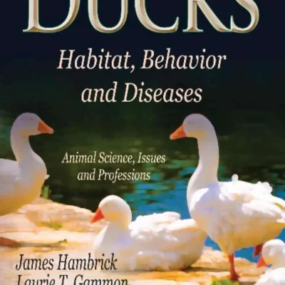 Ducks: Habitat, Behavior and Diseases