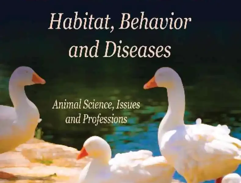 Ducks: Habitat, Behavior and Diseases