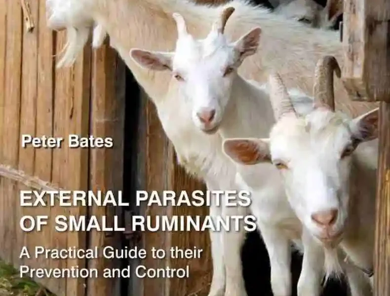 External Parasites of Small Ruminants: A Practical Guide to their Prevention and Control