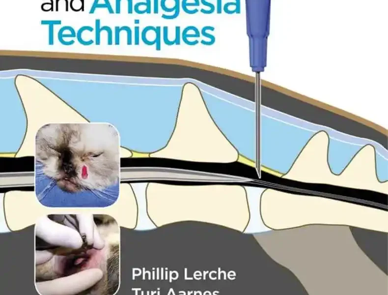 Handbook of Small Animal Regional Anesthesia and Analgesia Techniques