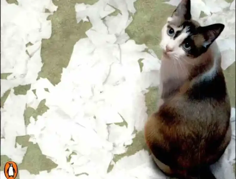 Starting from Scratch: How to Correct Behavior Problems in Your Adult Cat