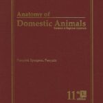 Anatomy of Domestic Animals