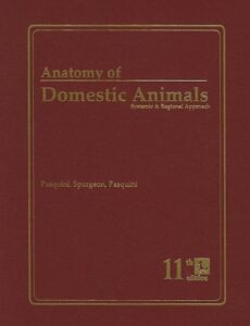 Anatomy of Domestic Animals